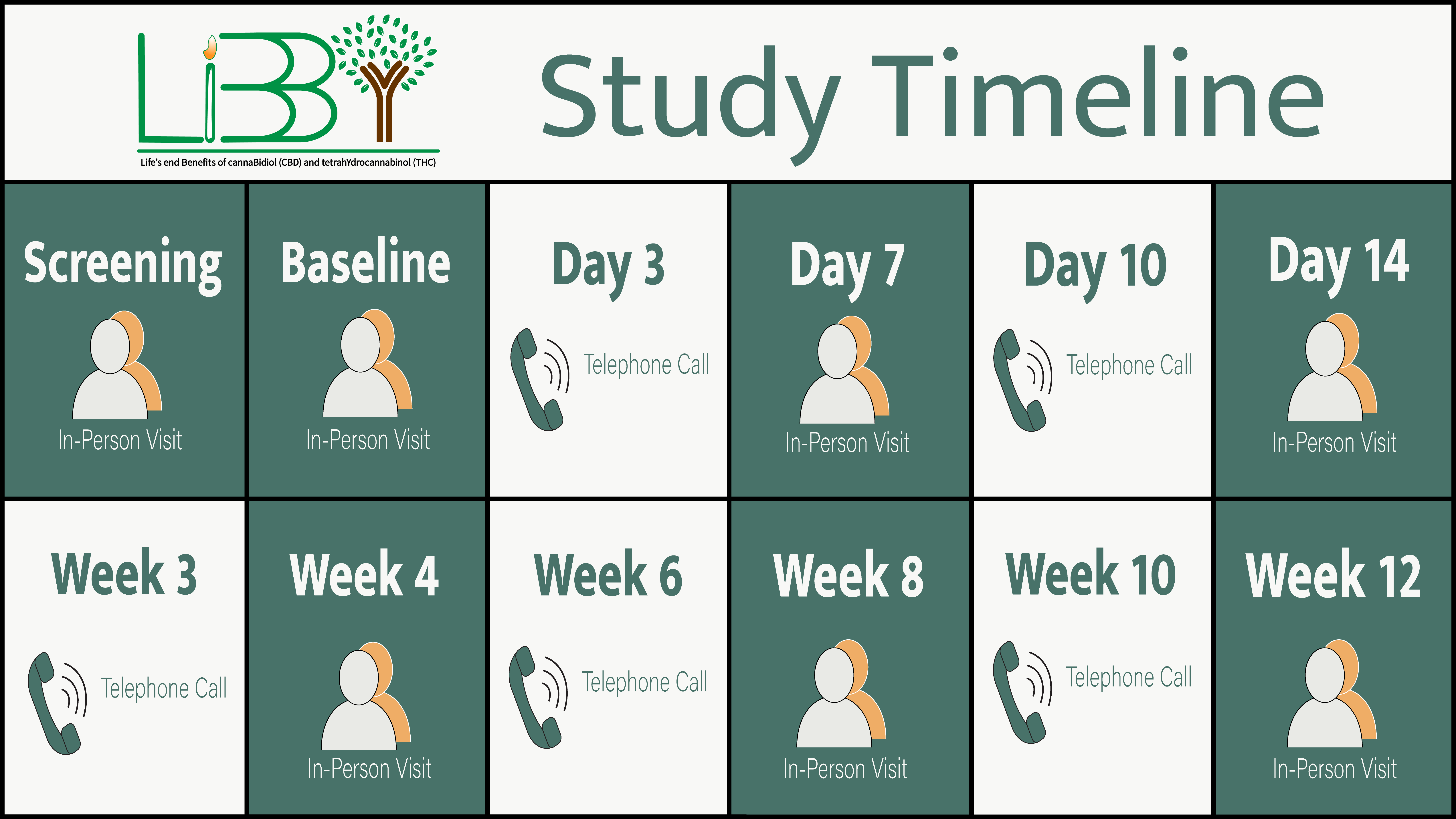 Image of the study's timeline